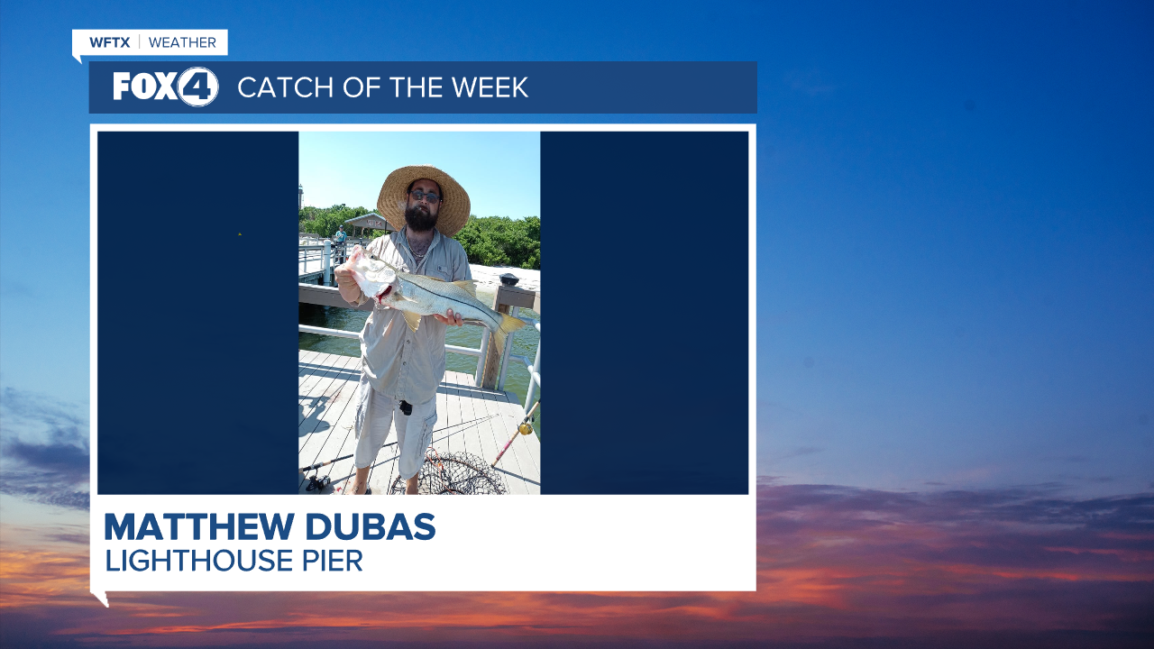 Catch of the Week - Matthew Dubas