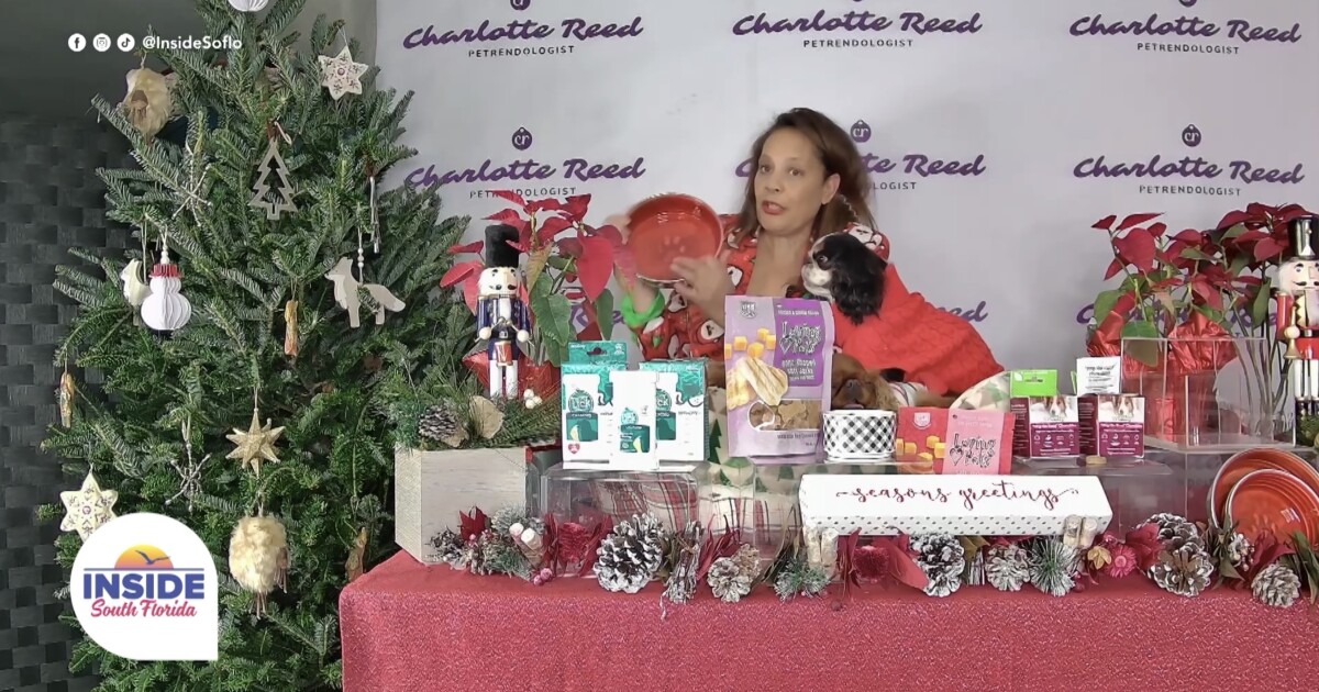 Holiday Pet Safety Tips Every Pet Parent Should Know