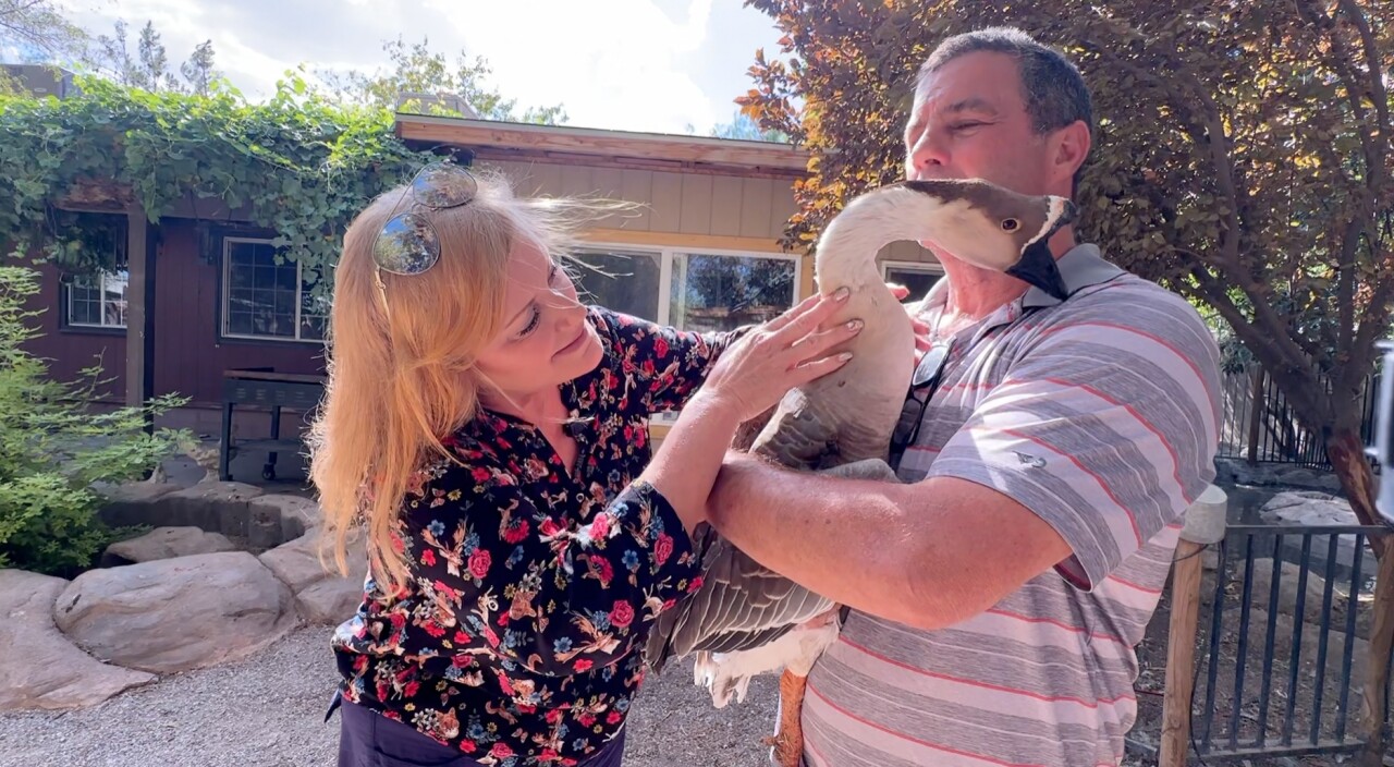 Ray Ray lives at Raise the Bar-N Foundation in Las Vegas