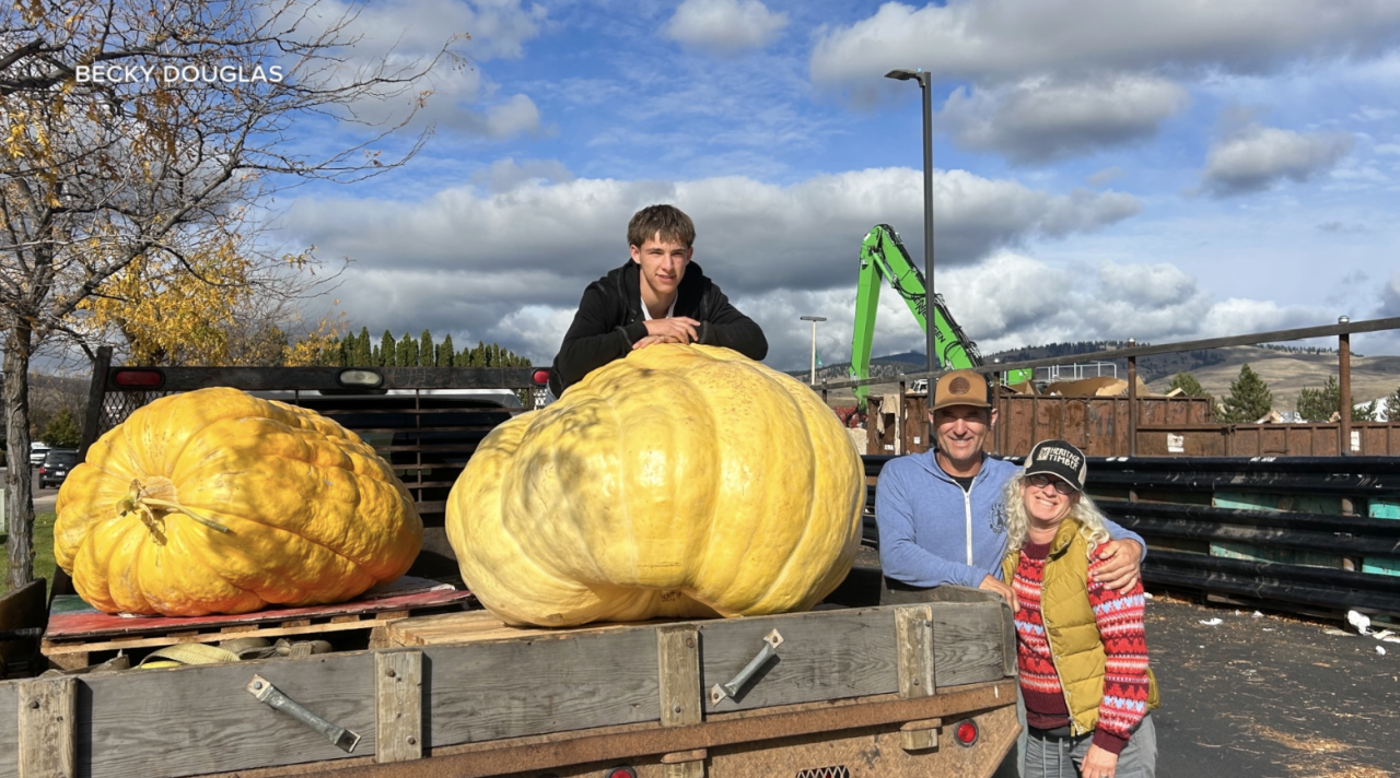 Mathias Delp, a Hellgate student, has been growing giant pumpkins for the past eight years.