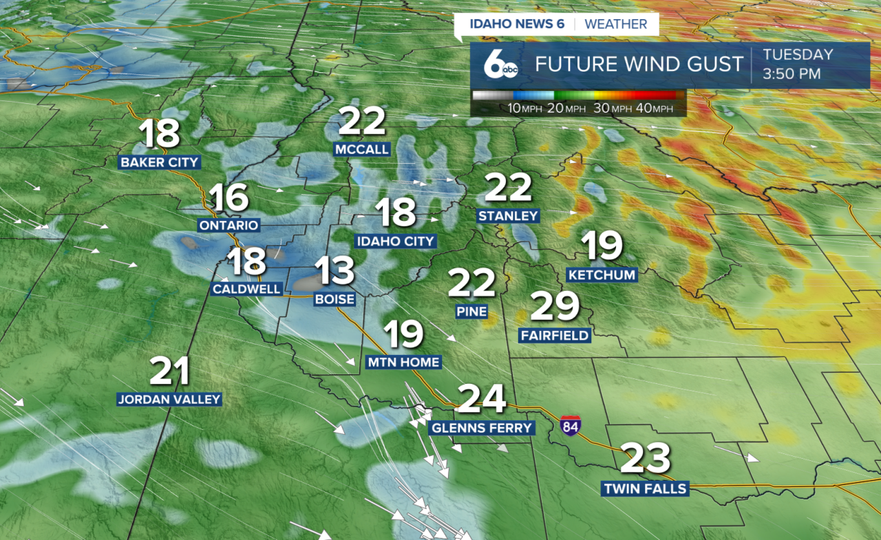 Future Wind Gusts