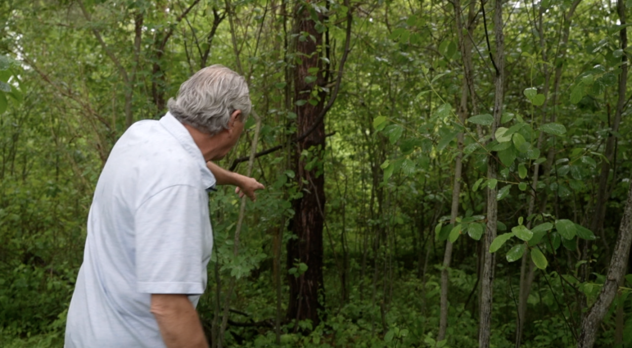 Screenshot 2025-06-09 at 9.43.37 PM.png