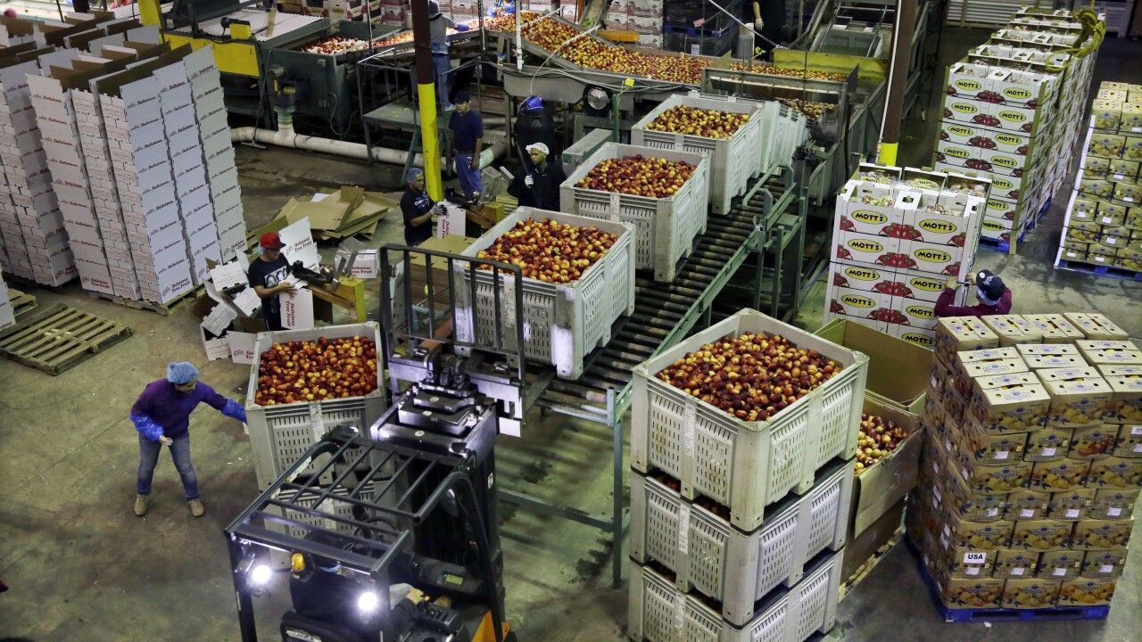 US wholesale inflation was unchanged last month despite tariff rollout US wholesale inflation was unchanged last month despite tariff rollout