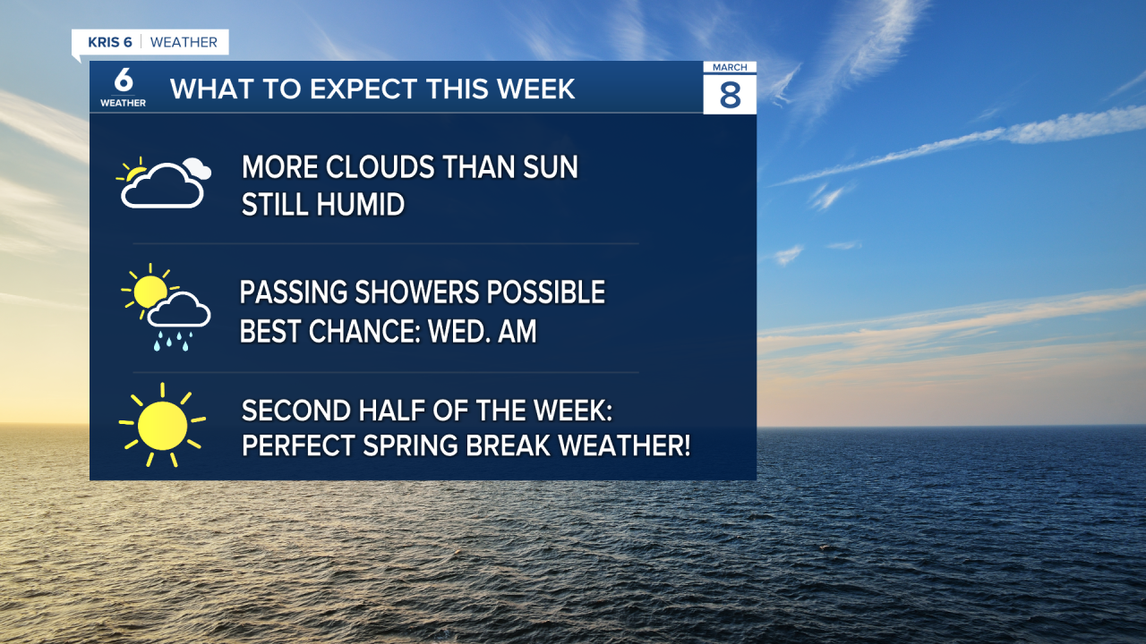 This Week Headlines.png