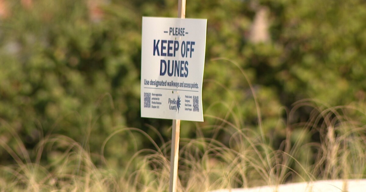 Pinellas working to restore beaches washed away a second time by December storm - Vimarsana News