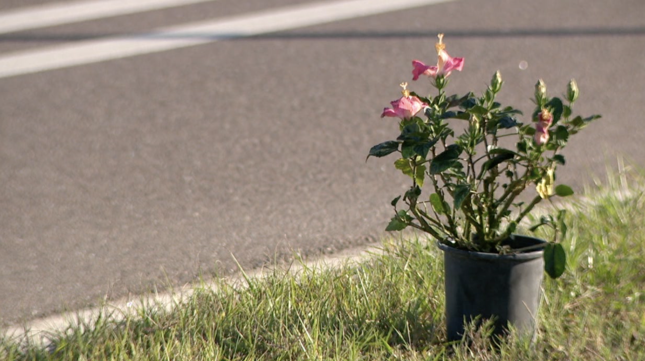 Screenshot 2025-12-28 at 9.27.00 PM.png