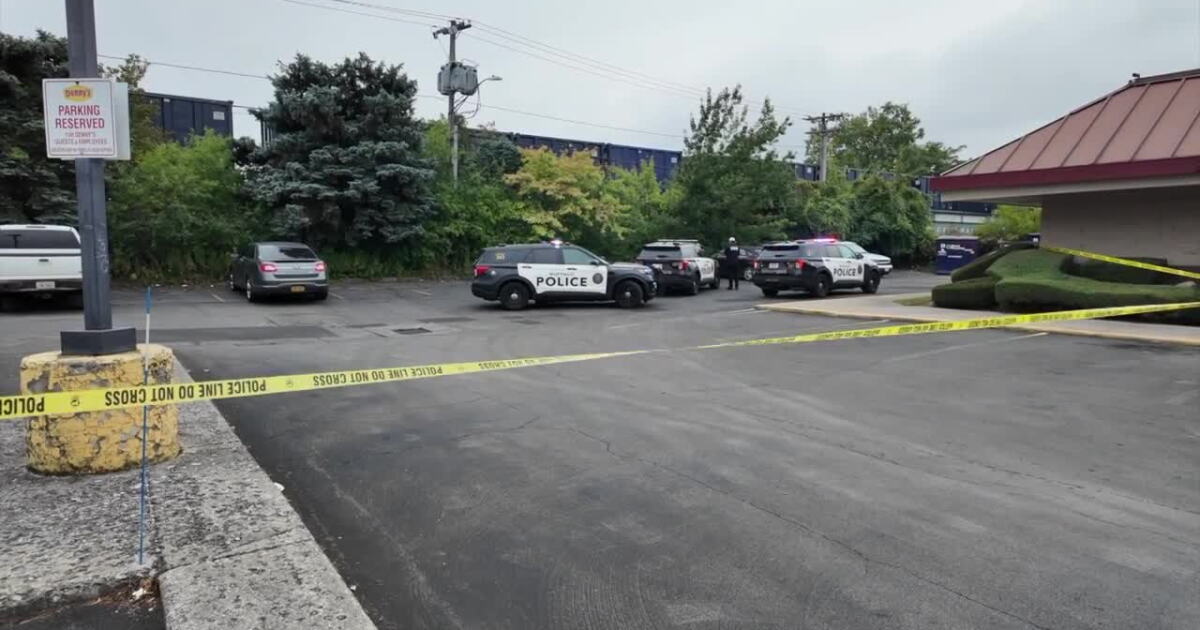 Local Buffalo Pedestrian hit and killed by train in Buffalo