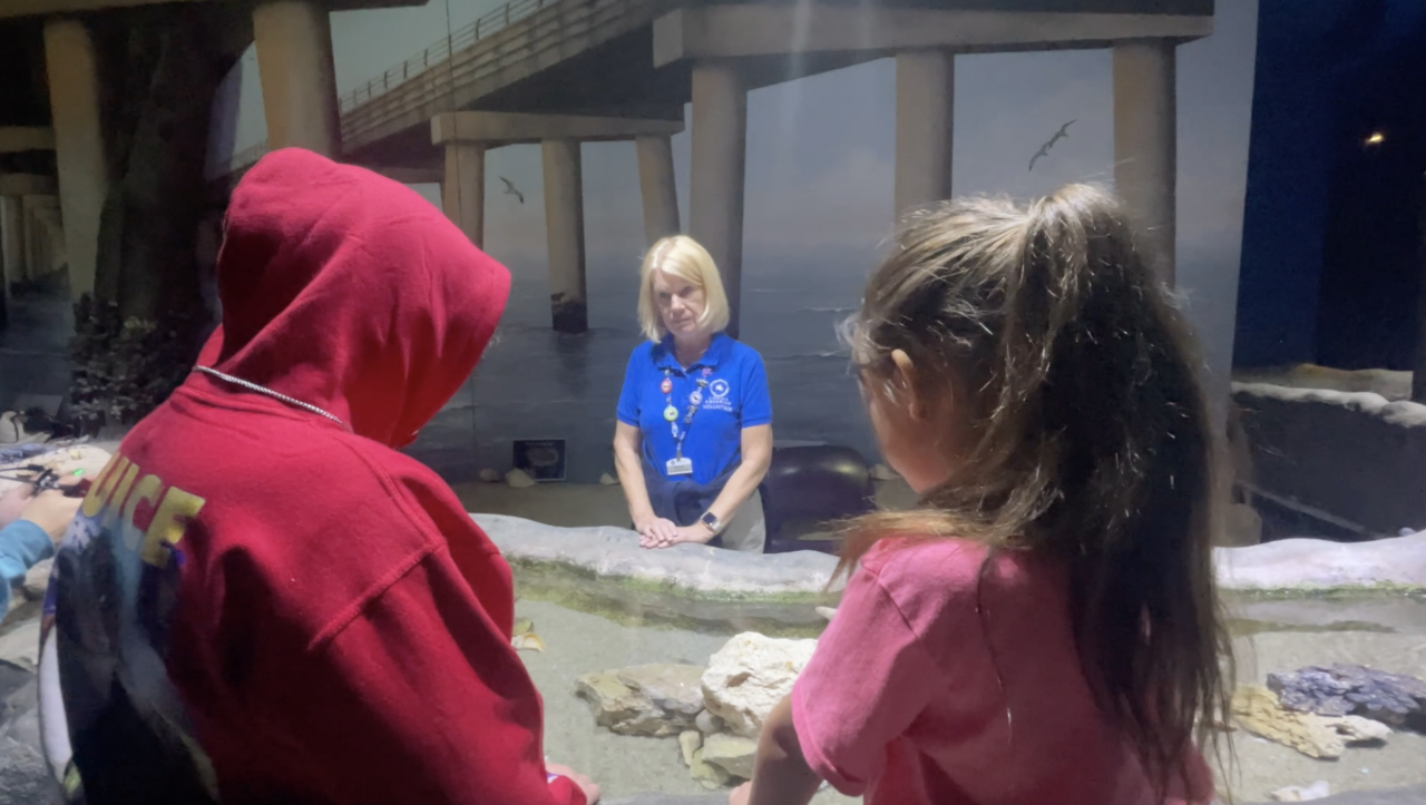 Screenshot 2024-03-26 at 10.24.28 PM.png