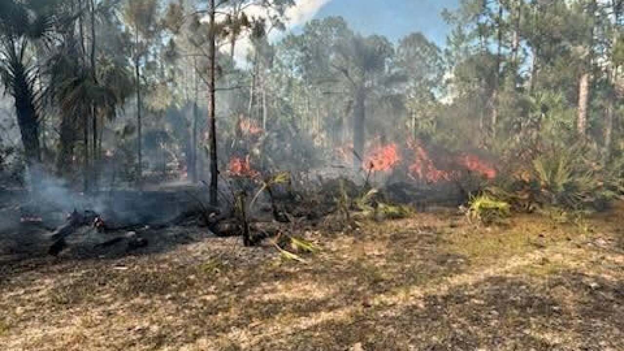 Indiantown brush fire reaches 125 acres, 99% contained