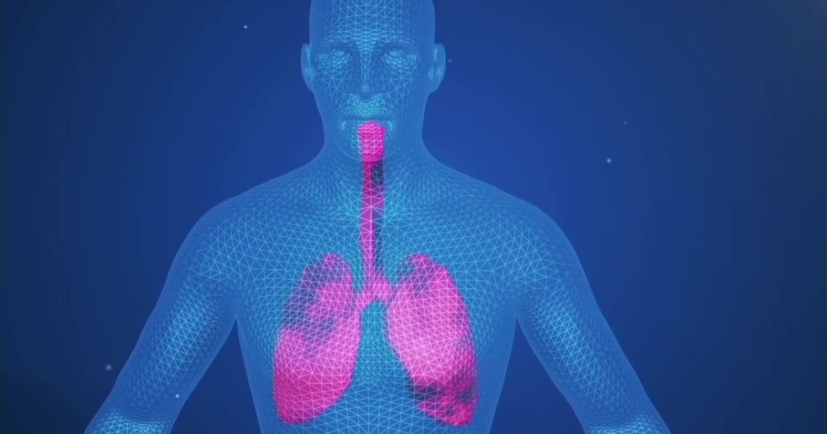 Wildfire smoke health risks: Who's most vulnerable and how to protect yourself