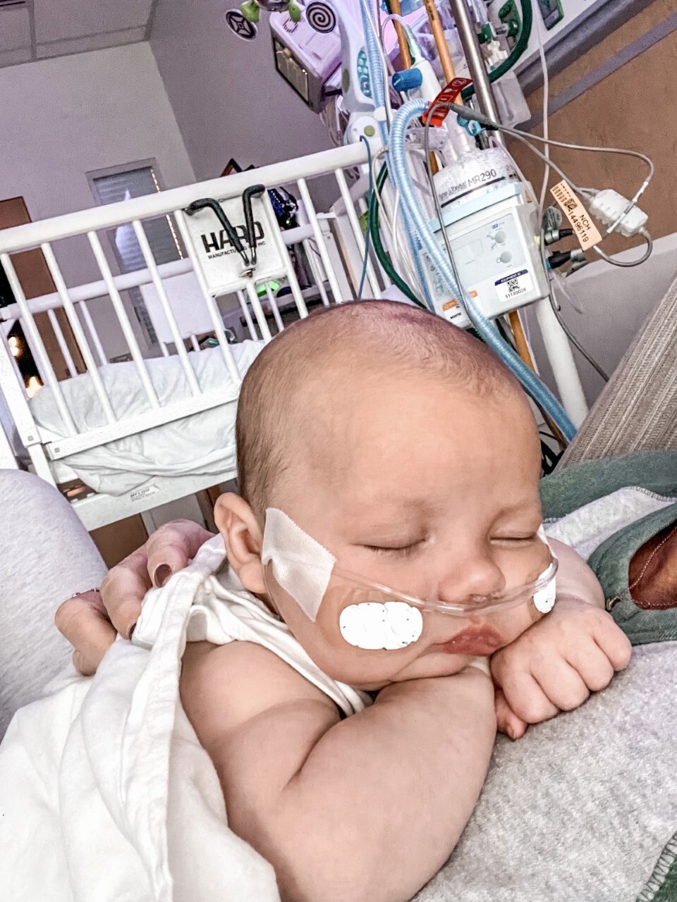 Shanisty Ireland 2.jpg