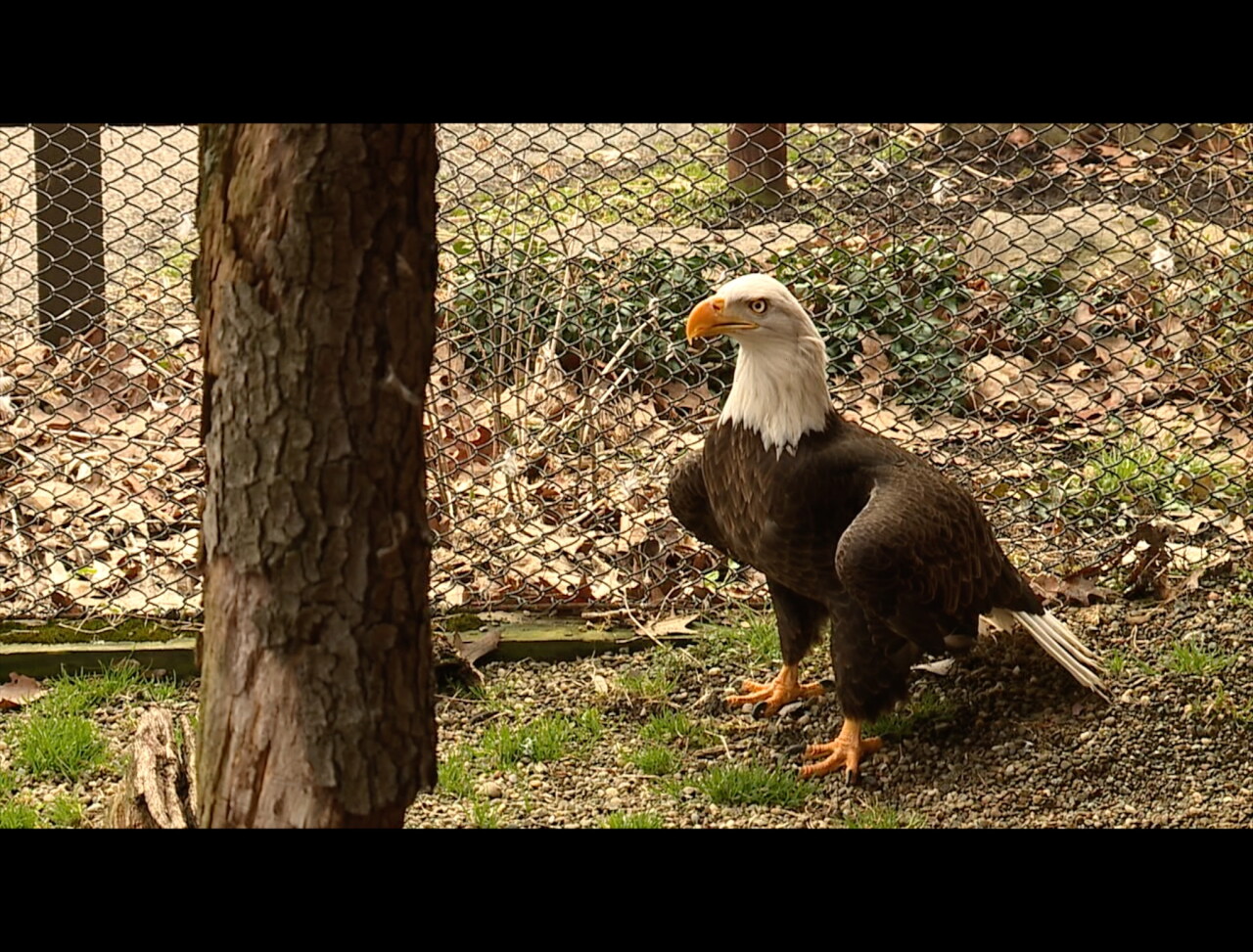 04-05-22 LAKE ERIE NATURE CENTER.jpg
