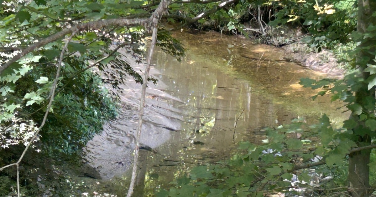 Beware of the water: Raw sewage overflow reported in Bel Air stream