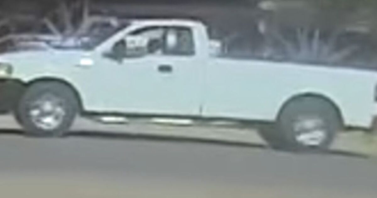 Social media video prompts investigation into horse's death in east Las Vegas
