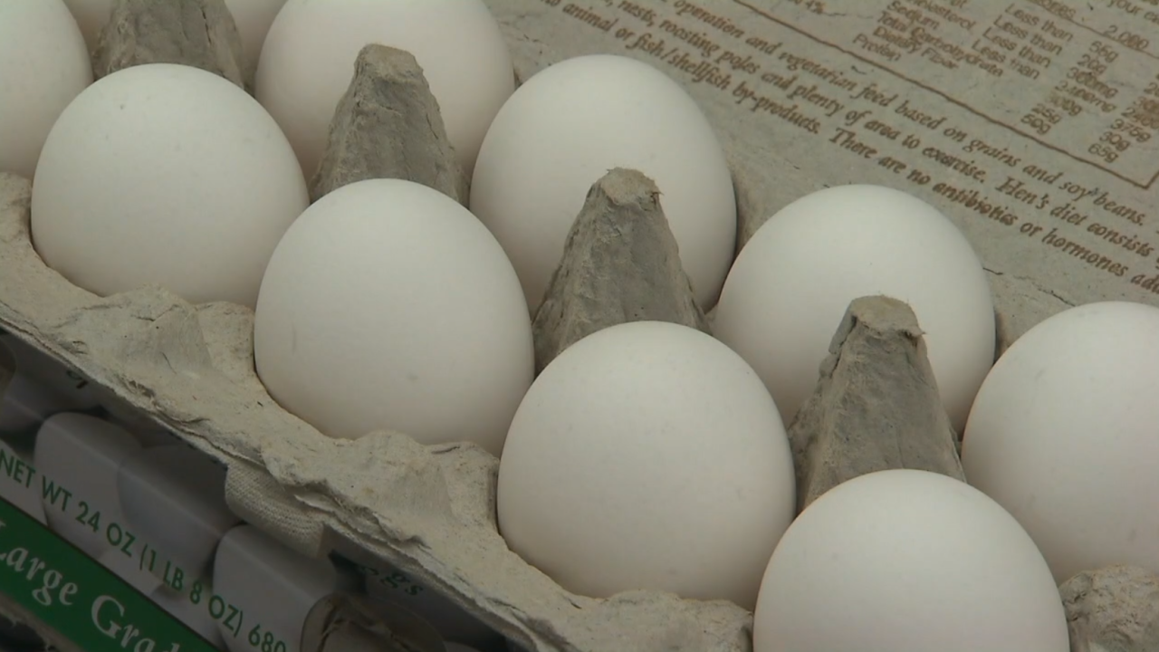 eggs in carton.png