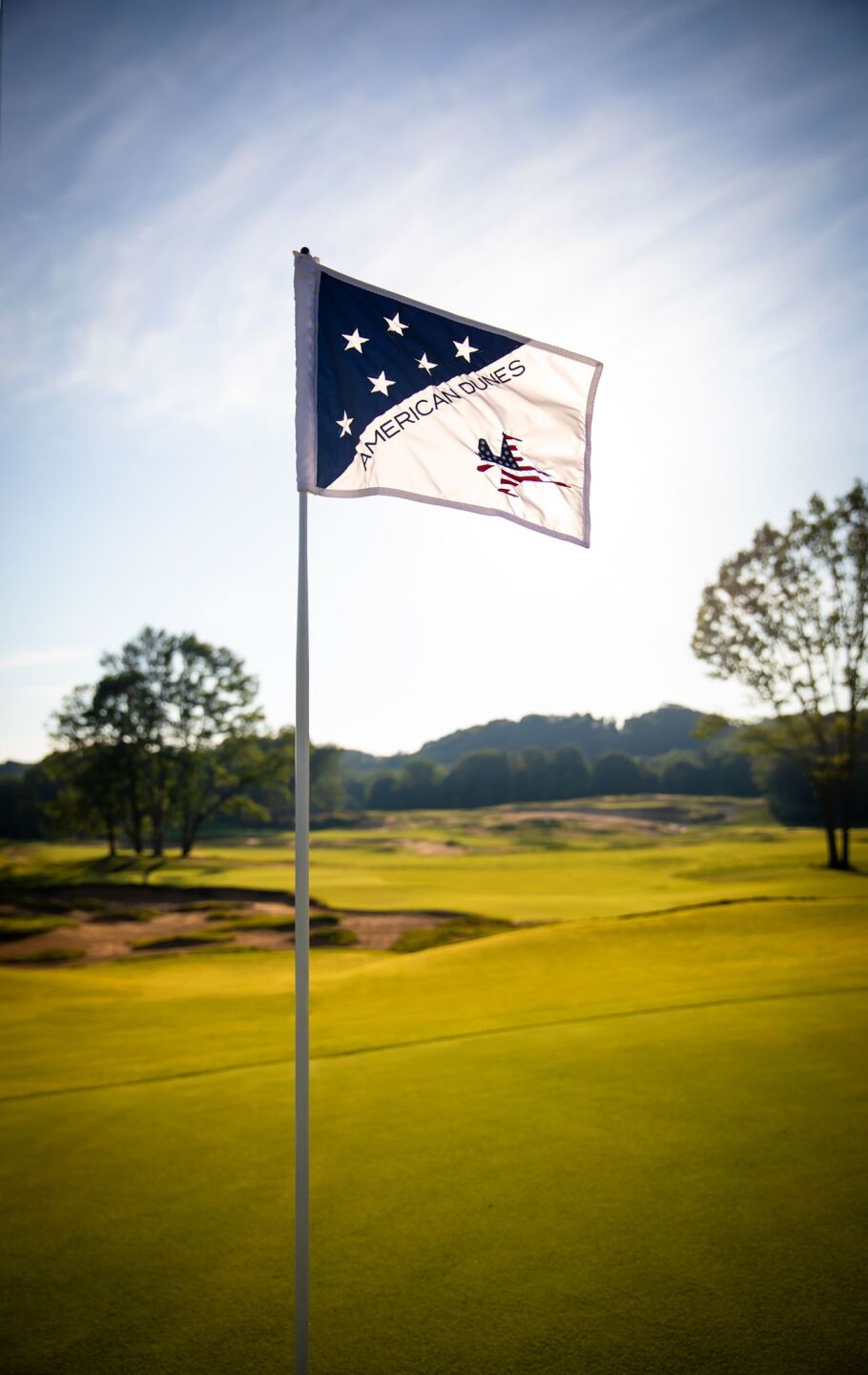 American-Dunes-Flag-Nile-Young.jpg