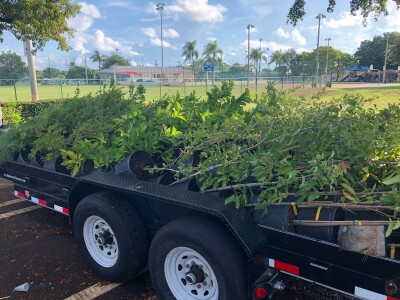 The City of Delray Beach, along with several community partners, will host a resource fair and tree giveaway for local residents on Saturday.