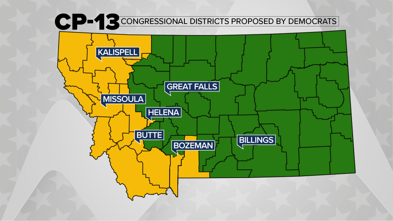 CP-13 Democrats