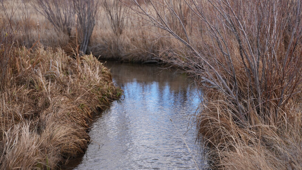 Sevenmile Creek