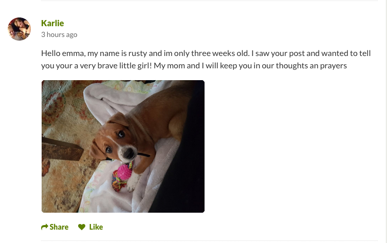 Terminally Ill Girl Wishes For A Letter From Your Dog