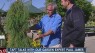Paul James covers the rugged pine
