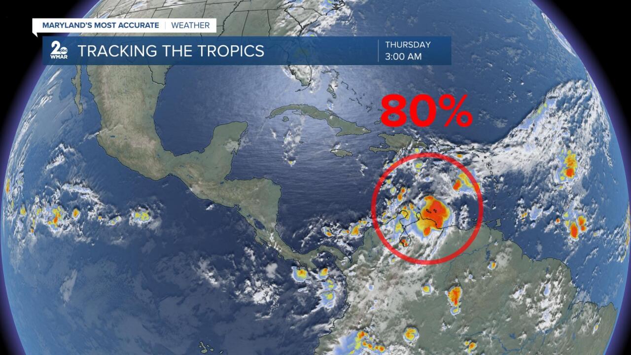 Tracking the Tropics.jpg