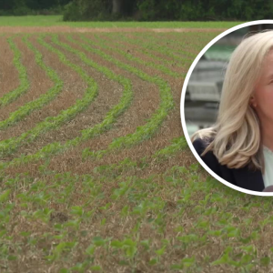 Spanberger drought