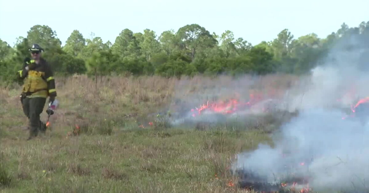 Firefighters concerned over coming wildfire season - Vimarsana News