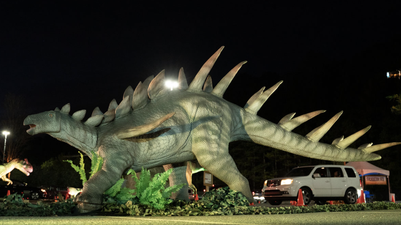 Dino Safari Drive Thru Experience Comes To Parma Dino Safari Drive Thru Experience Comes To Parma