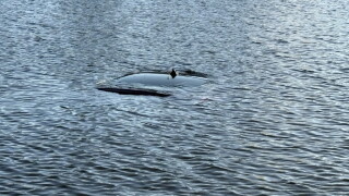 Submerged Lexus reported in St. Petersburg: Police