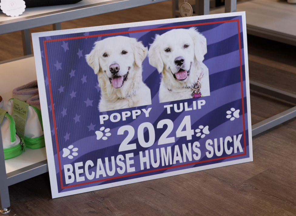 Poppy and Tulip run for president