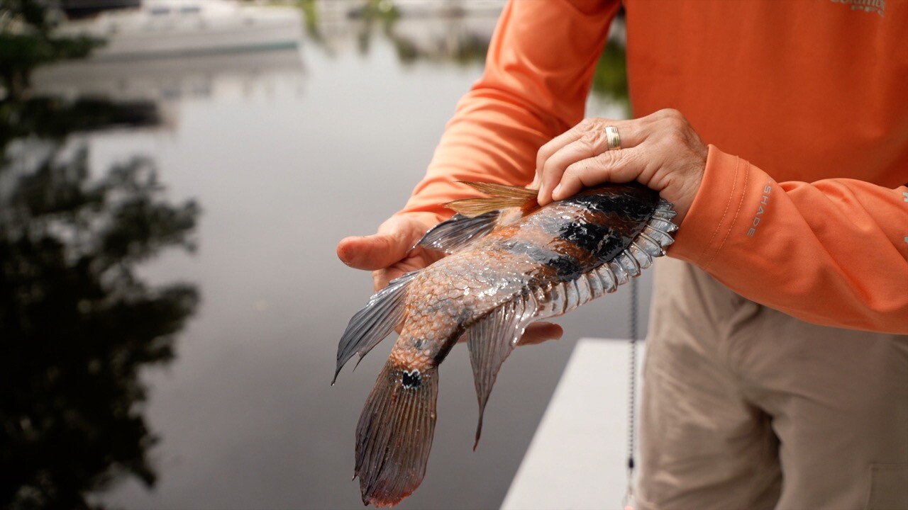 James Anstey displaying his catch.