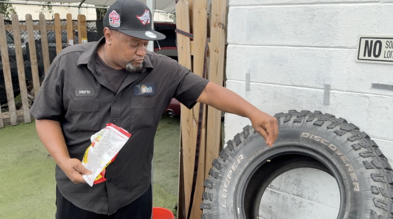 Mario Vernon sprinkles mosquito larvicide
