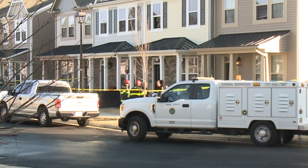 Screenshot 2022-03-22 084735.png