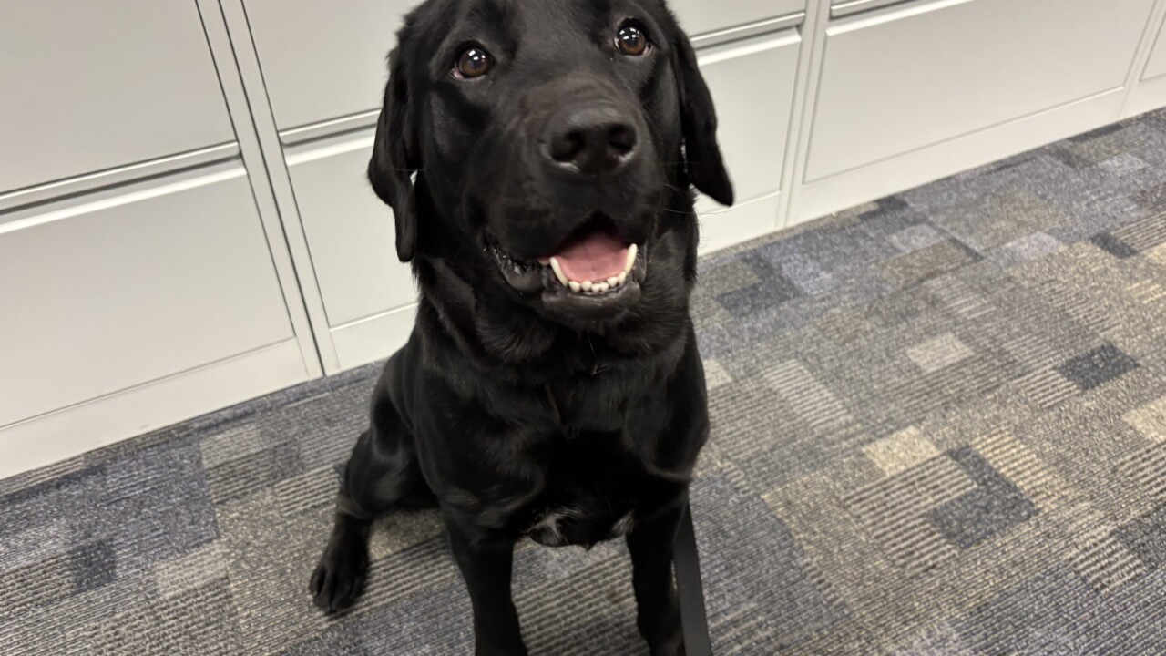 Kirtland K9 Beacon