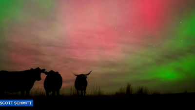 Northern Lights in Montana (November 11, 2025)