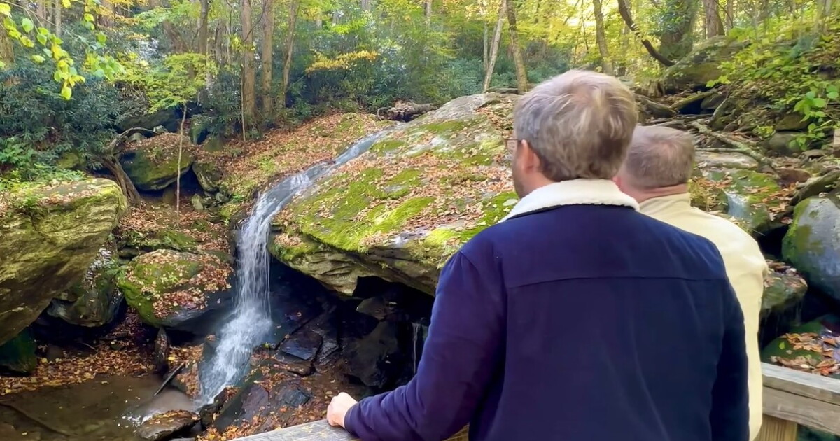Take in beautiful fall foliage on a walk with Patrick - Vimarsana News