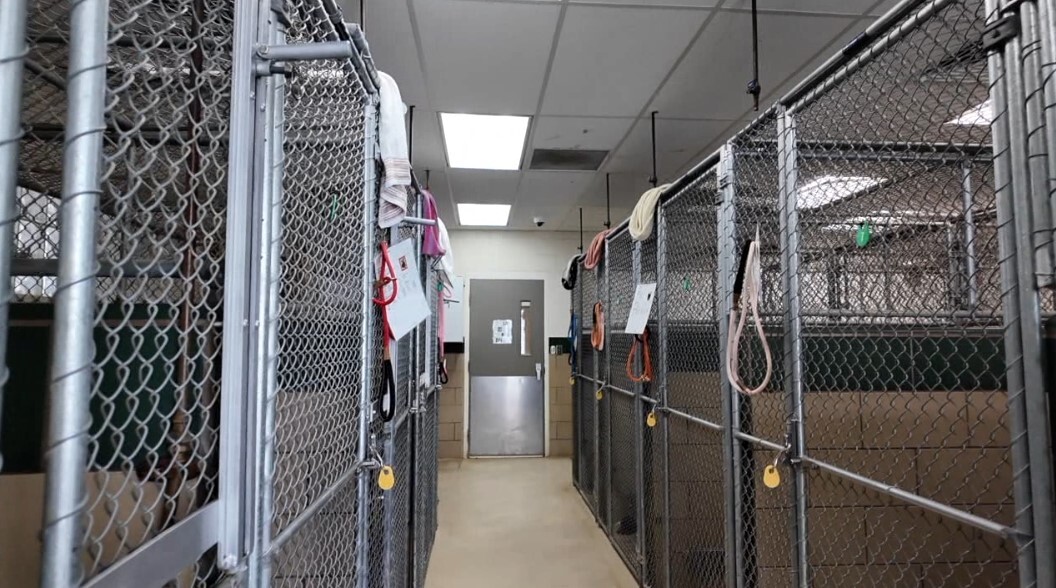 Screenshot 2025-12-03 183446.jpg