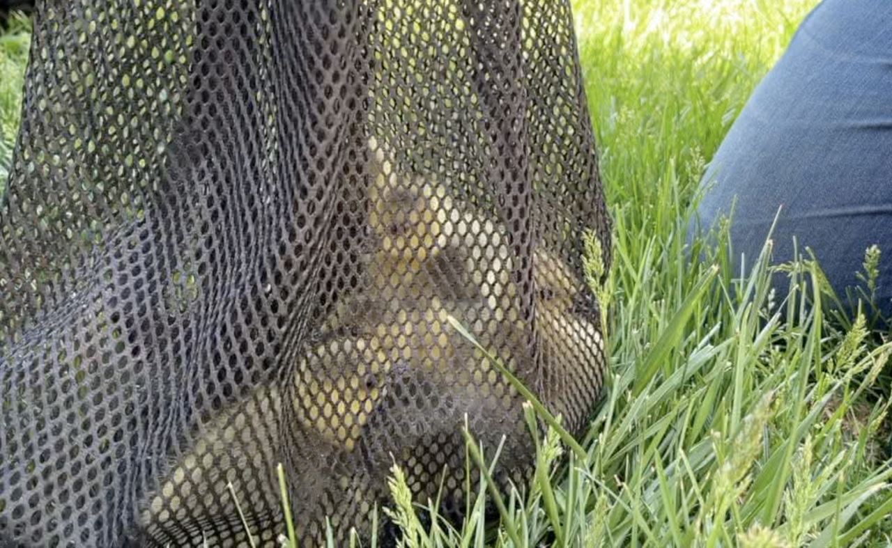 Screen Shot 2024-04-19 at 7.39.09 PM.png