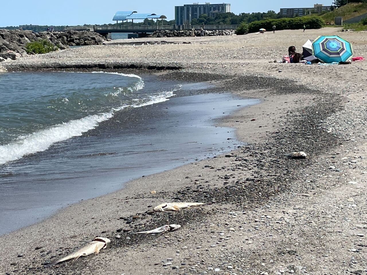 Image from iOS (25).jpg