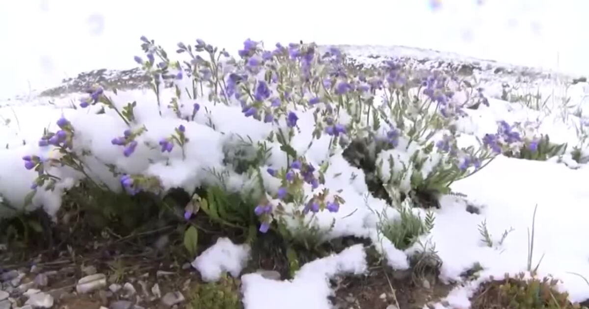 Meteoroloigcal Spring Weather Wise: Meteorological Spring