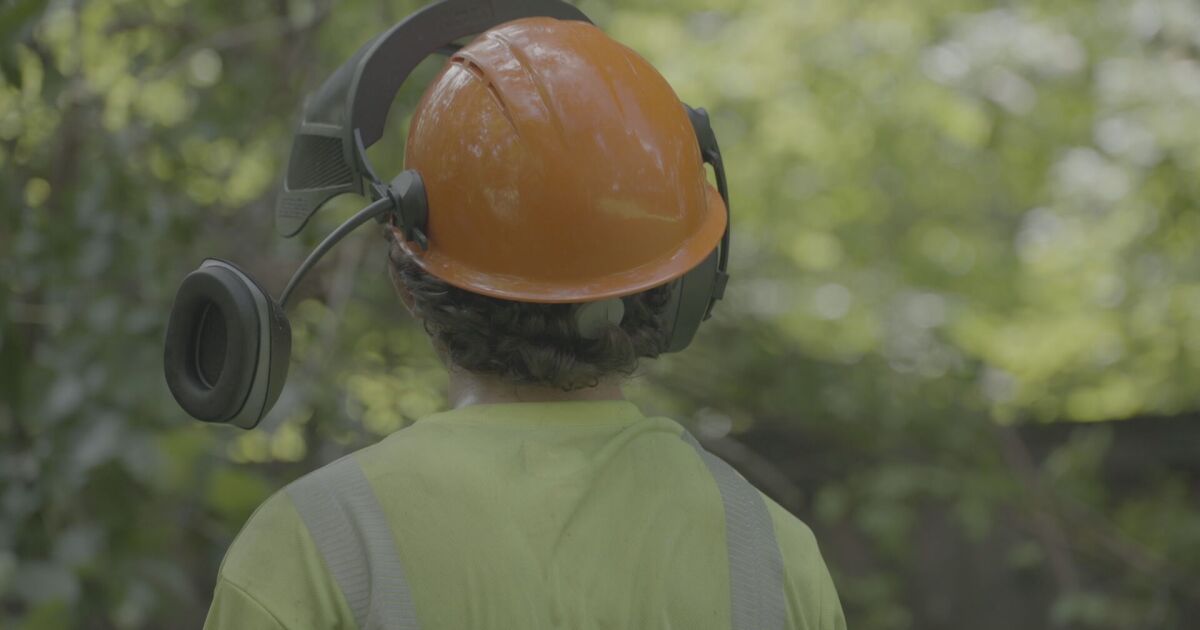 Nashville man spent months fighting to get storm debris cleared. A call to 'Hannah Can Help' finished the job
