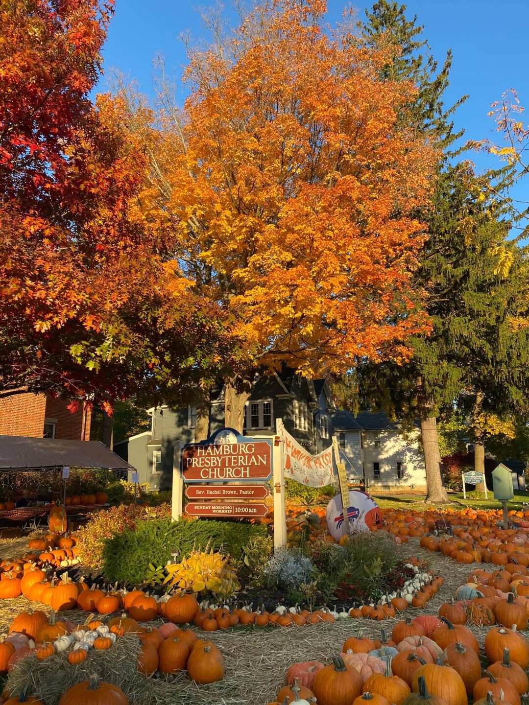 A picture of the patch from a past year