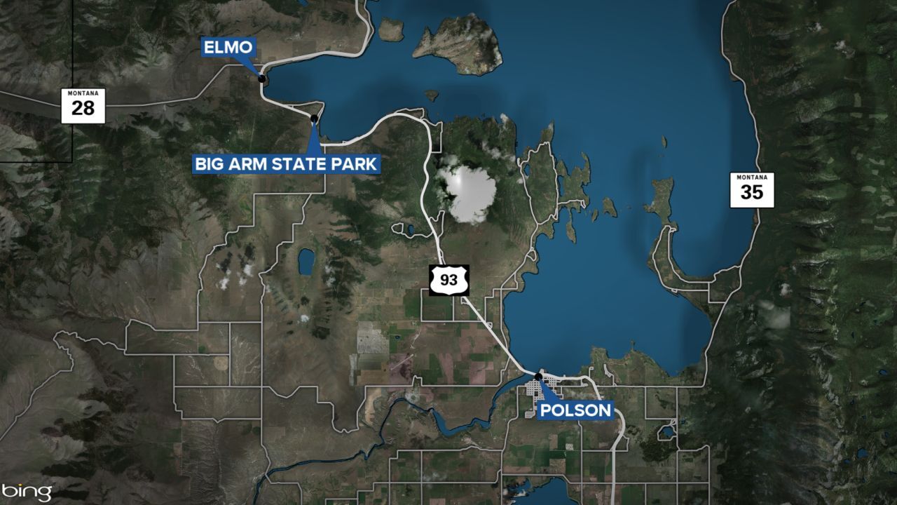 big arm and elmo.jpg