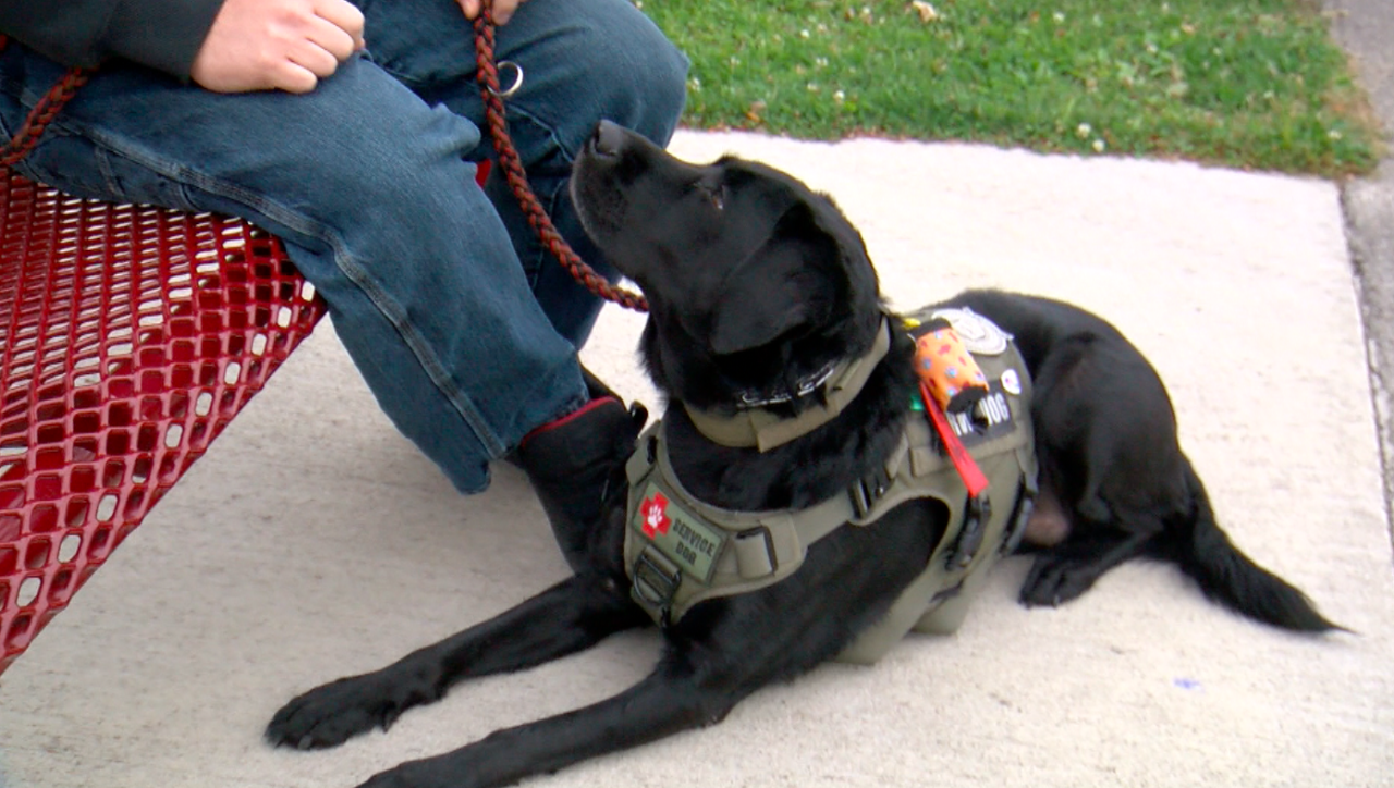 Screen Shot 2022-11-10 at 7.39.43 PM.png