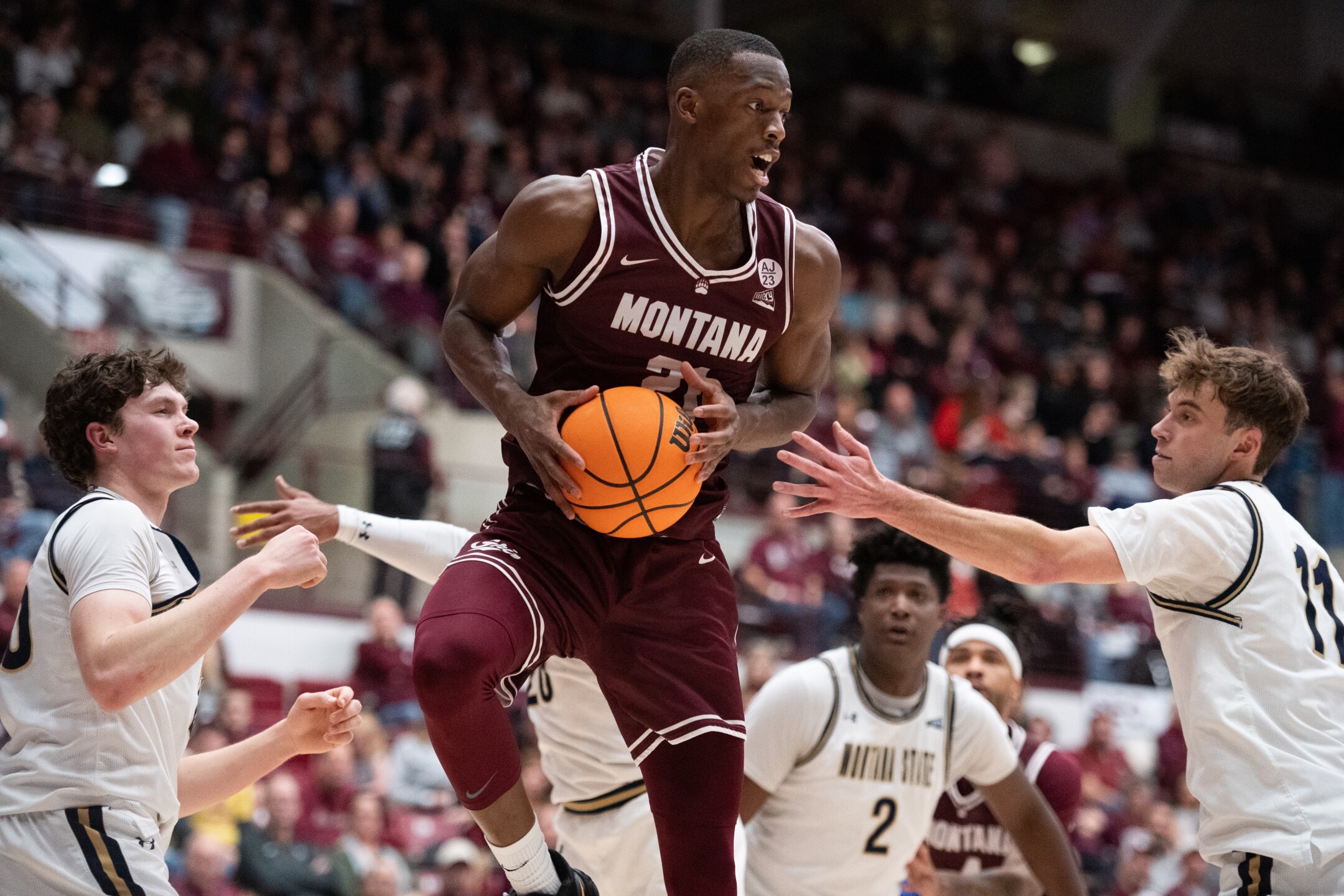 Photos Montana Grizzlies roll past Montana State in CatGriz men's