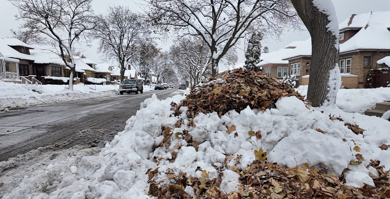 Residents called DPW worried about children and elderly residents forced to step over the slippery leaves and fresh snow.