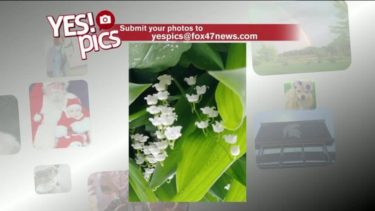 Yes! Pics: 6/7/18