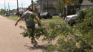 STORM DEBRIS.png