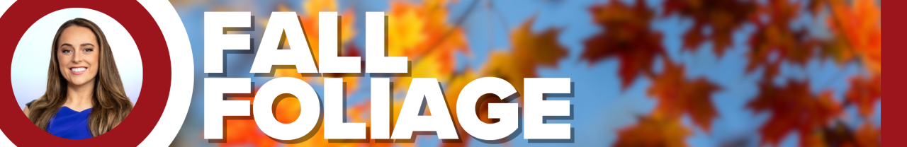 Fall Season Geneva Zoltek 2025